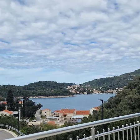 Lejlighed Sea Wiev One Bedroom With Free Parking Zaton (Dubrovnik-Neretva)